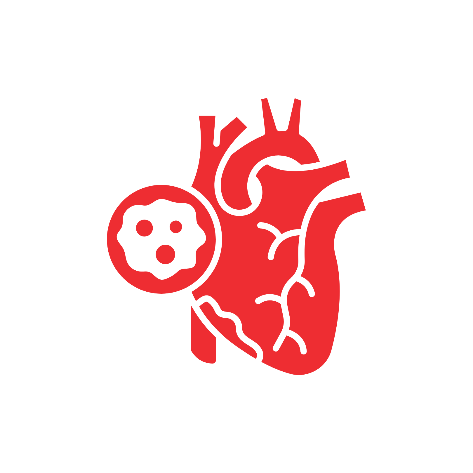Detection of Cardiac Abnormalities