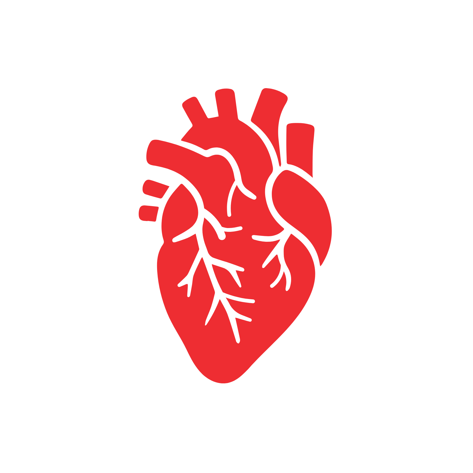 Heart structure