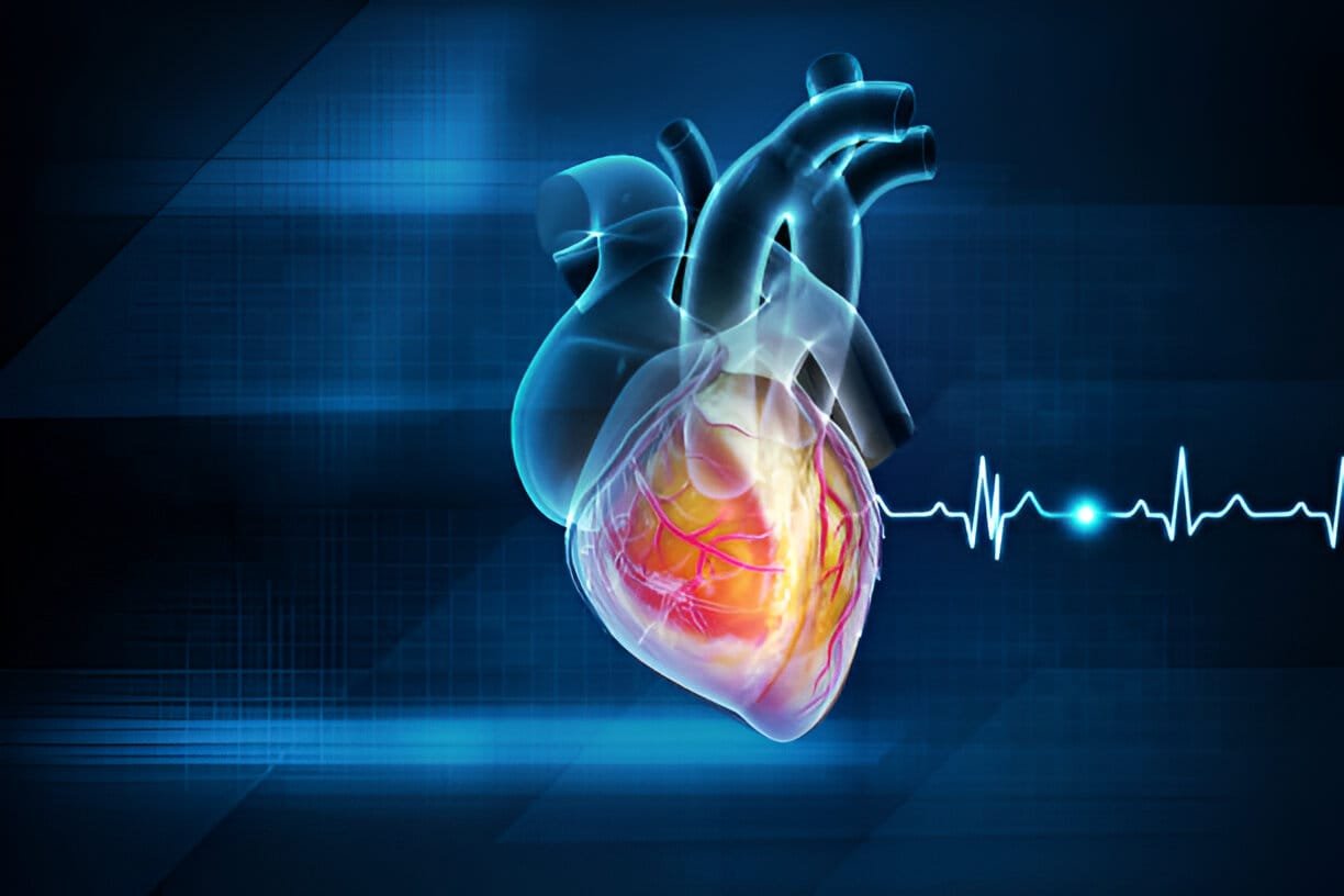 heart diagram