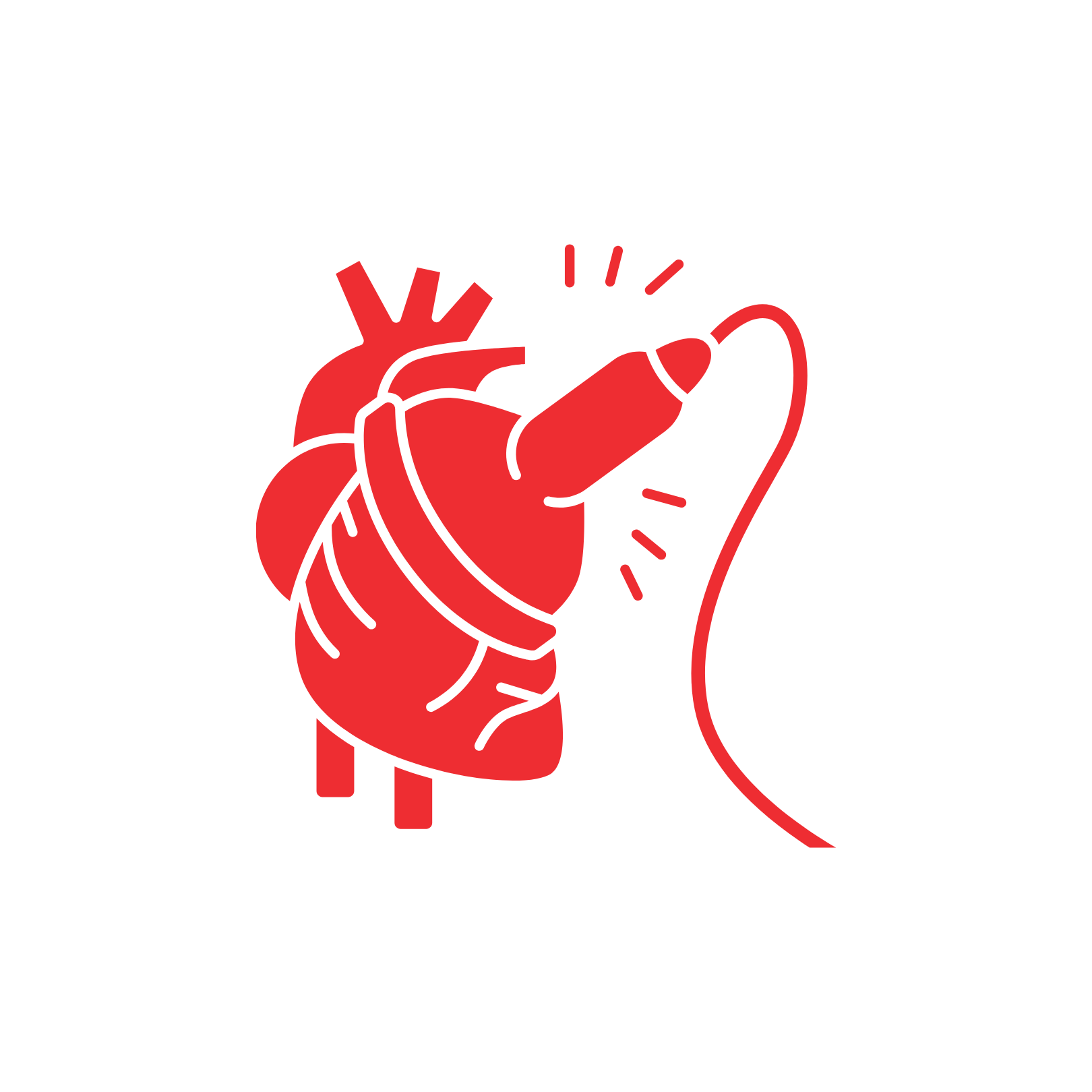 Echocardiography